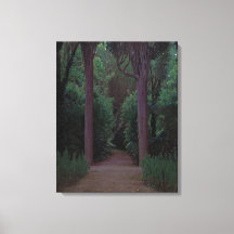 公園内のパス（サンティアゴ・ルシニョル著）