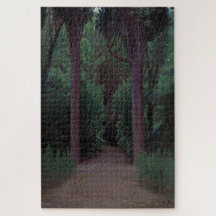 公園内のパス（サンティアゴ・ルシニョル著）