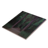 公園内のパス（サンティアゴ・ルシニョル著） タイル (側面)