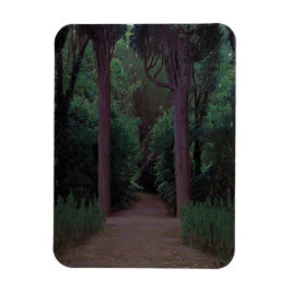 公園内のパス（サンティアゴ・ルシニョル著） マグネット