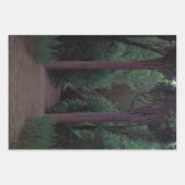 公園内のパス（サンティアゴ・ルシニョル著） ラッピングペーパーシート (正面)