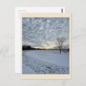 公園冬の夕日はがき ポストカード (正面/裏面)