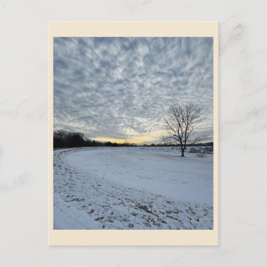 公園冬の夕日はがき ポストカード (正面)