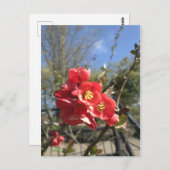 公園日本のはがき内のクリン ポストカード (正面/裏面)