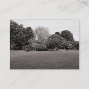 公園景観(暖かい色調のBW) 名刺