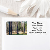 公園樹 ラベル (インサイチュ)