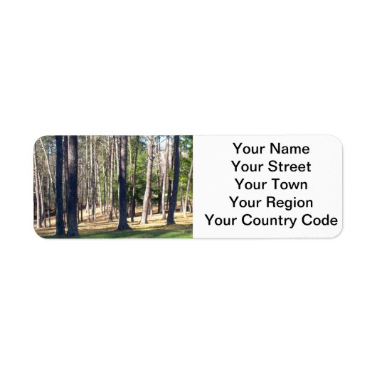 公園樹 ラベル (正面)