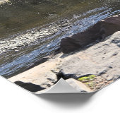 公園水辺ポスター ポスター (角)