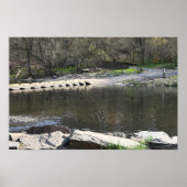 公園水辺ポスター ポスター (正面)