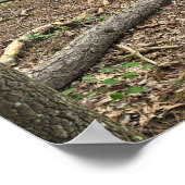 公園落ちたの木のポスター ポスター (角)