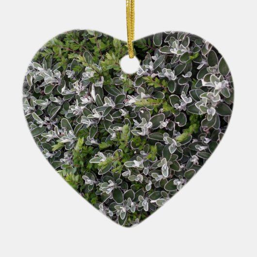 公園葉の自然パターンの茂みの春 セラミックオーナメント (正面)