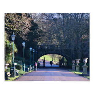 公園 フォトプリント