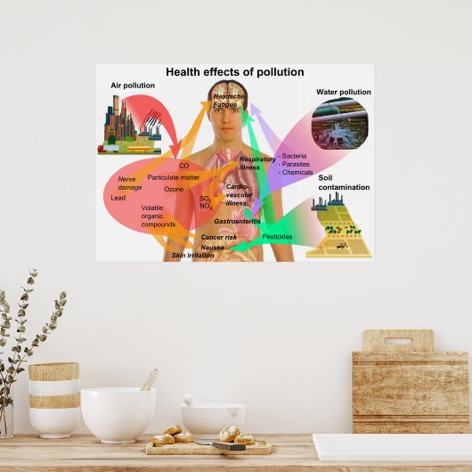 公害による人の体 ポスター (キッチン)