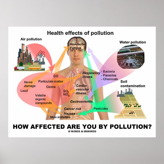 公害の影響は？（生理学） ポスター (正面)