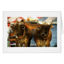 公平なサンドイッチのウシのチーム: カード