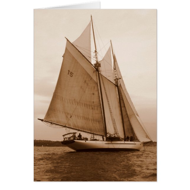 公平な風 (正面)