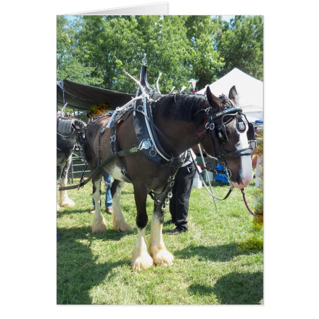 公平な馬 (正面)