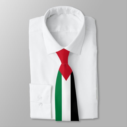 公式にはパレスチナ州国旗 ネクタイ (タイ)