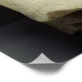 公式のエビエル像 ポスター (角)