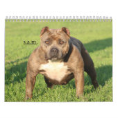 公式の石都市犬小屋のカレンダー カレンダー (カバー)