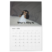 公式ペット猿のカレンダー カレンダー (3月 2026)