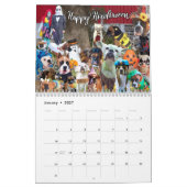 公式ボクサー犬の生活 – 15ヶ月の犬のカレンダー カレンダー (1月 2027)