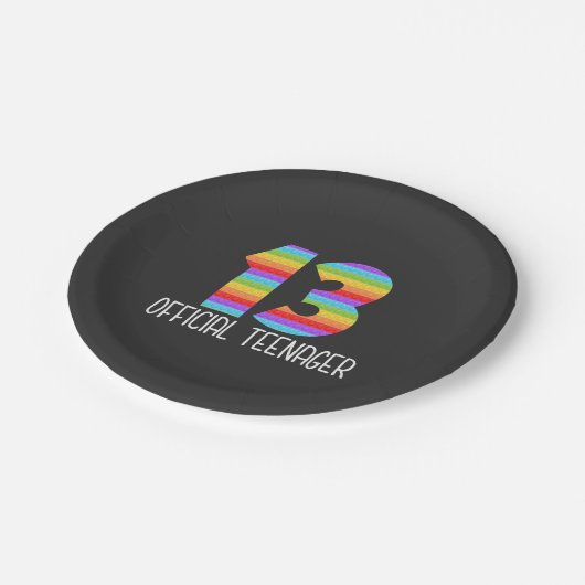 公式10代の若者13th少年または女の子ポピッ ペーパープレート (アングル)