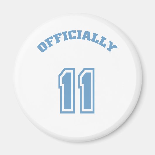 公式11 マグネット (正面)