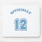 公式12 マウスパッド (正面)