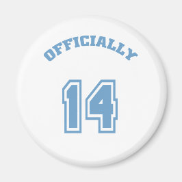 公式14 マグネット