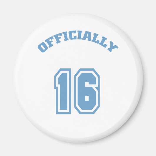 公式16 マグネット (正面)