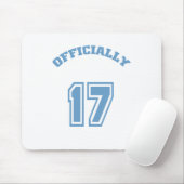 公式17 マウスパッド (マウス)