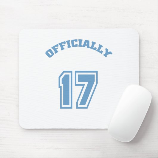 公式17 マウスパッド (マウス)