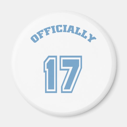 公式17 マグネット (正面)