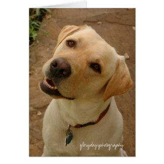 公爵、glorydaysphotography