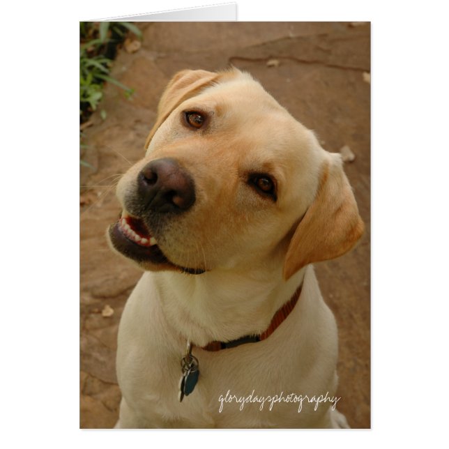 公爵、glorydaysphotography (正面)