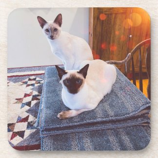 六シャム懸命プラスチック製コースター(コルクバック付) コースター