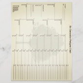 六世代の血統紙ヴィンテージルック (正面)