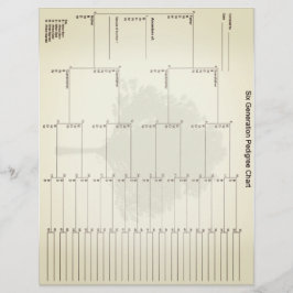 六世代の血統紙ヴィンテージルック