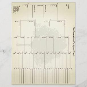 六世代の血統紙ヴィンテージルック