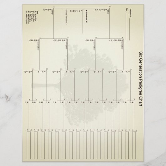 六世代の血統紙ヴィンテージルック (正面)