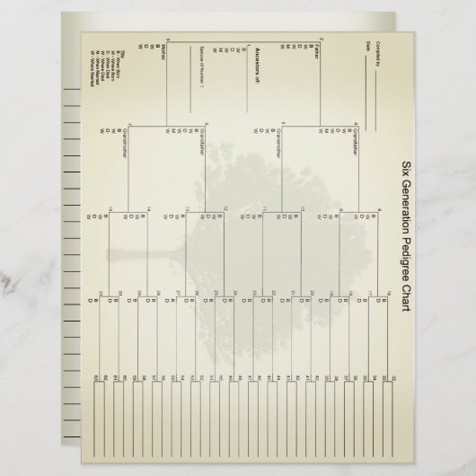 六世代の血統紙ヴィンテージルック (正面/裏面)