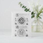 六分儀 ポストカード (スタンド正面)