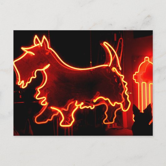 六十六ネオン標識 ポストカード (正面)