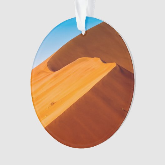 六月45 オーナメント (正面)