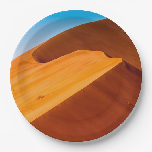 六月45 ペーパープレート (正面)