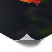 六河川のオークの葉 ポスター (角)