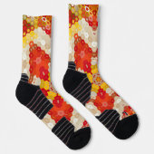 六角マンダラレッドとイエロー ソックス (右)