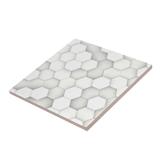 六角形 タイル (側面)