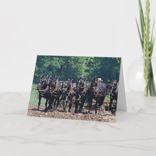 六馬隊 カード (正面)